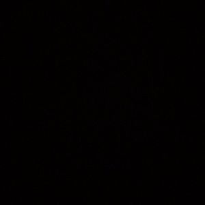 Meet your Posher, Craig